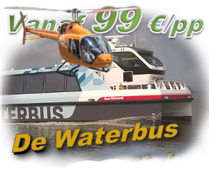 City Game The Crazy Guide